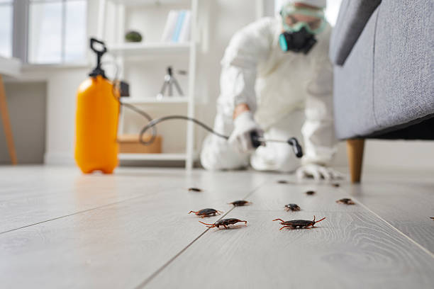 Commercial Rodent Management in Bastrop